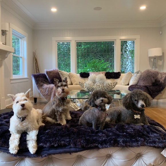 Melody Eighthsense - Picture 2 of 8